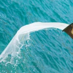 Ονειρική Φωτογράφιση σε Γαλάζιο Σκηνικό: Η Βάπτιση του Χρήστου στον Μύτικα - 0412 - Promo